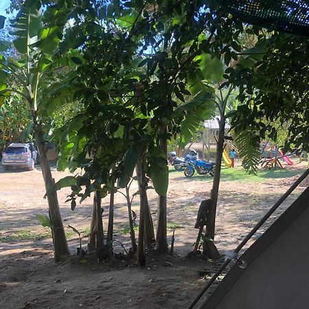 The Riverdeck Accommodation And Backpackers Κνύσνα Εξωτερικό φωτογραφία
