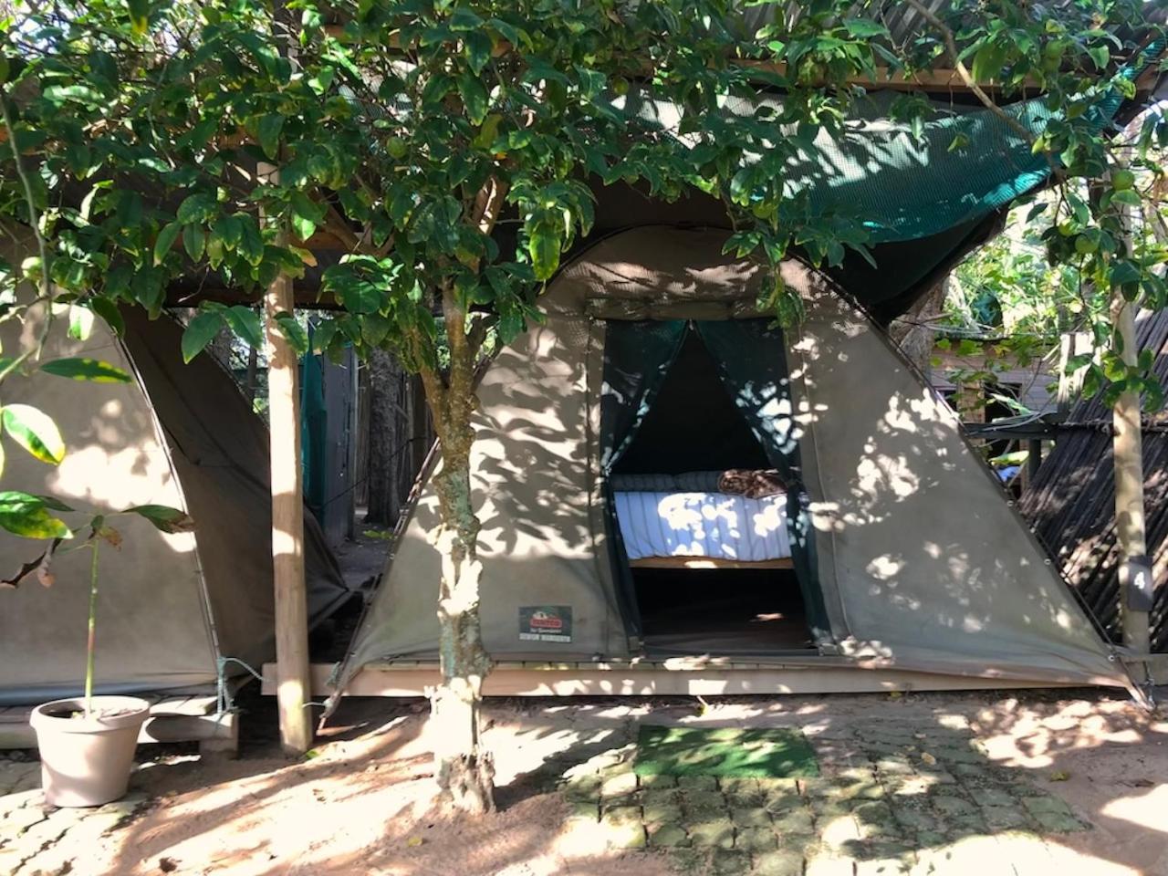 The Riverdeck Accommodation And Backpackers Κνύσνα Εξωτερικό φωτογραφία