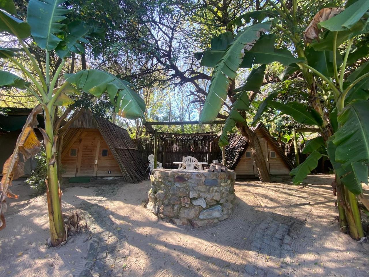 The Riverdeck Accommodation And Backpackers Κνύσνα Εξωτερικό φωτογραφία