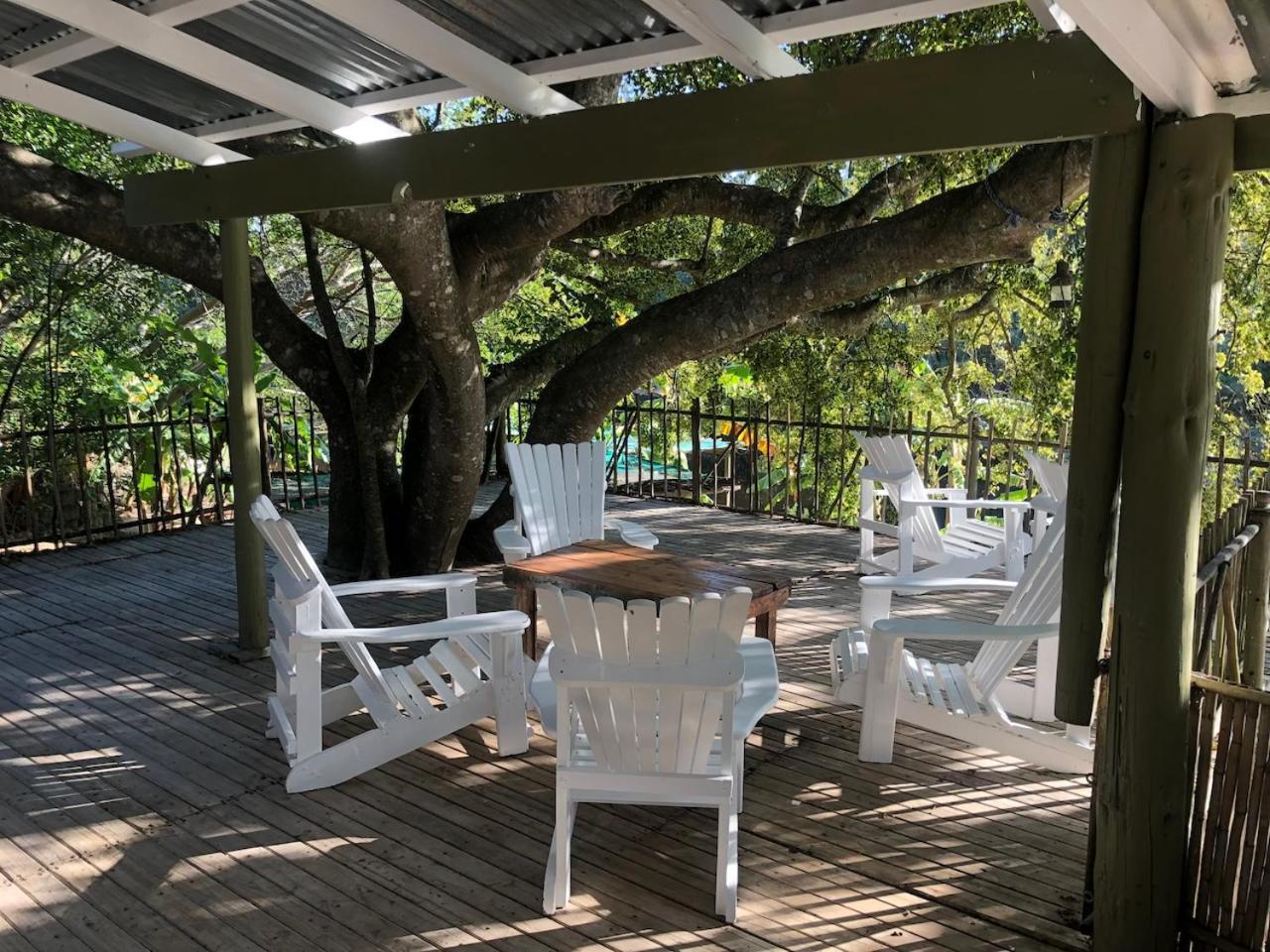 The Riverdeck Accommodation And Backpackers Κνύσνα Εξωτερικό φωτογραφία