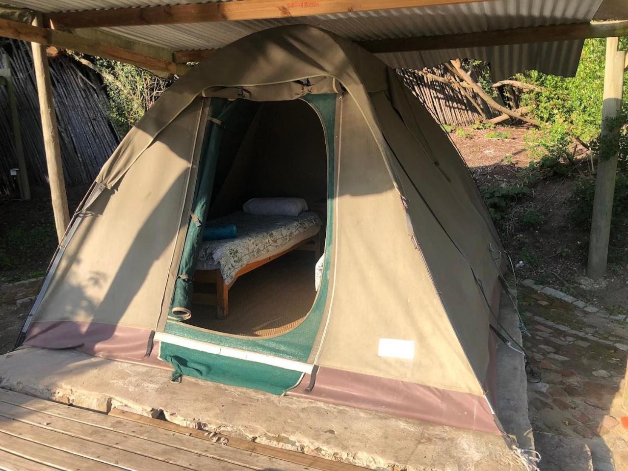 The Riverdeck Accommodation And Backpackers Κνύσνα Δωμάτιο φωτογραφία