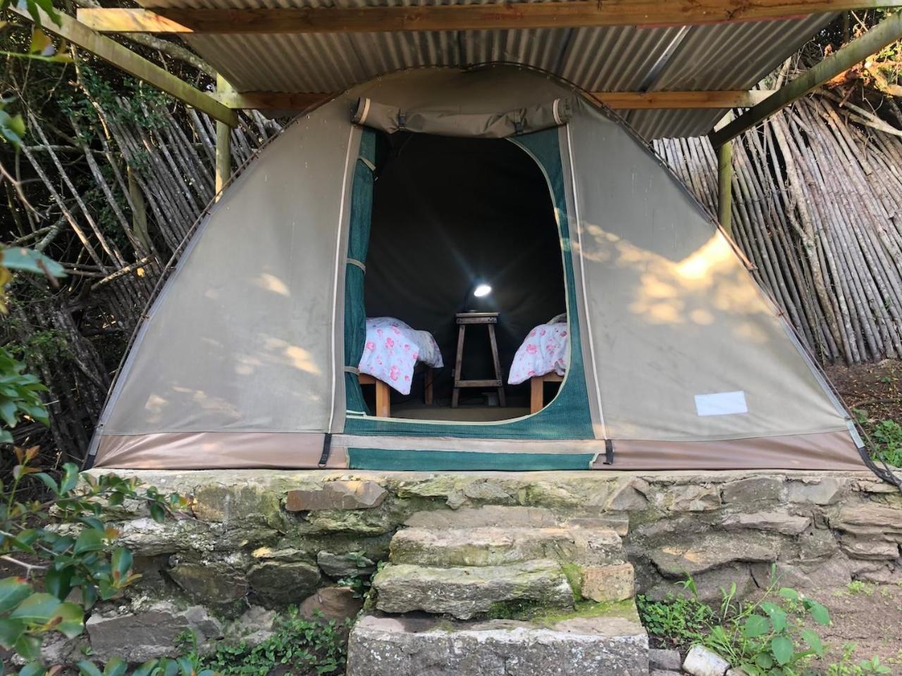 The Riverdeck Accommodation And Backpackers Κνύσνα Δωμάτιο φωτογραφία