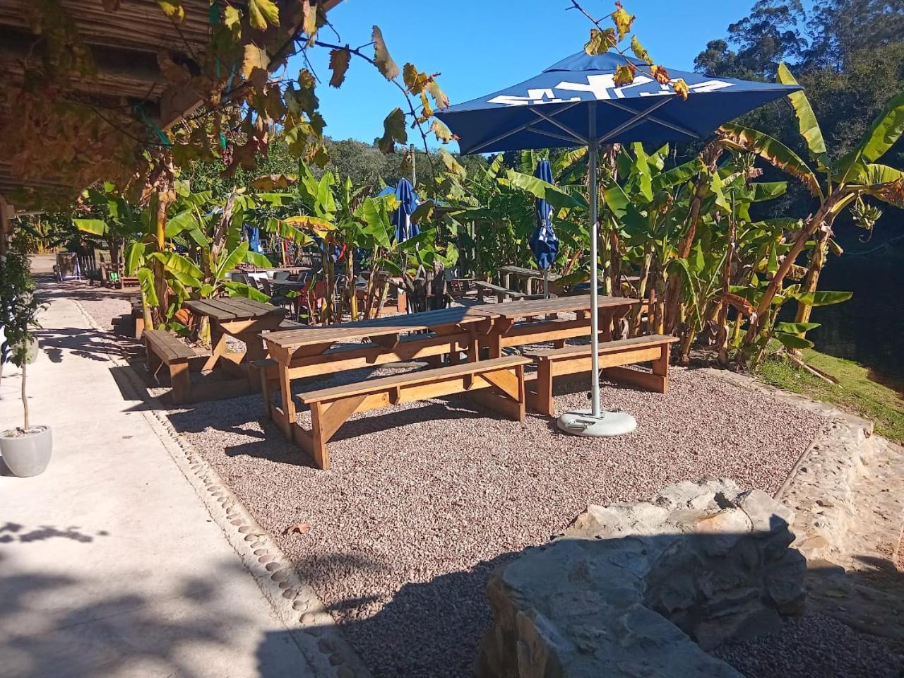 The Riverdeck Accommodation And Backpackers Κνύσνα Εξωτερικό φωτογραφία