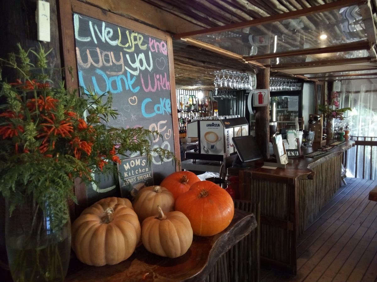 The Riverdeck Accommodation And Backpackers Κνύσνα Εξωτερικό φωτογραφία